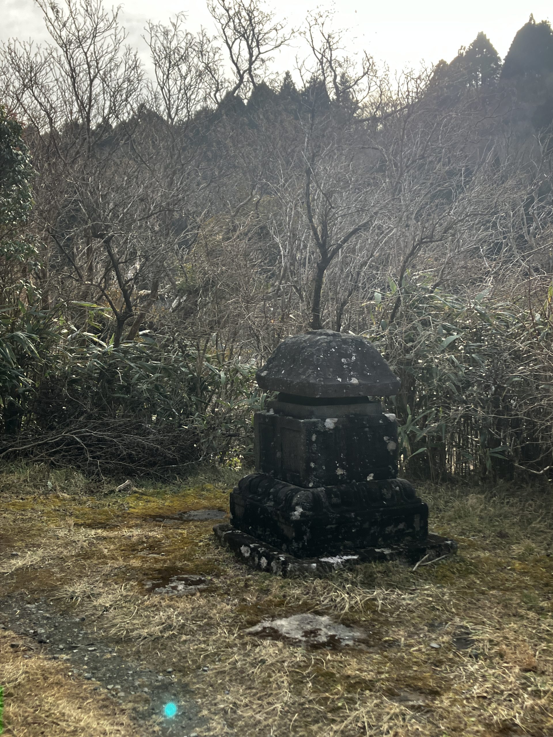 元箱根石仏群 精進池 冬景色